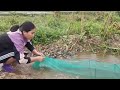 fishing skills with nets and bare hands to catch giant fish in the stream.