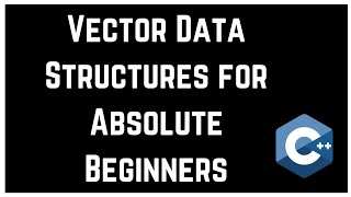 Data Structures And Algorithms - Vector Data Structures for Absolute Beginners