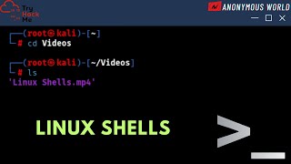 Linux Shells Walkthrough | Cyber Security 101 | TryHackMe