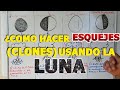 Como hacer ESQUEJES de plantas 🌱 CORRECTAMENTE utilizando la influencia de la LUNA (2019) BIEN EXPL