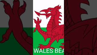 WALES ARE IN THE FIFA WORLD CUP AFTER 64 YEARS!!