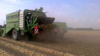 Breure de Waard uien laden met 2 zwaden AVR Puma John Deere Miedema