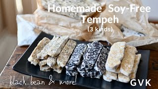 Soy - Free Tempeh (3 kinds)