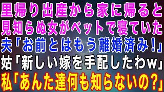 【スカッとする話】里帰り出産から帰ると見知らぬ女がベットで寝ていた→夫「お前とはもう離婚した」姑「新しい嫁を手配したわw」私「あんた達何も知らないの？」結果w【修羅場】