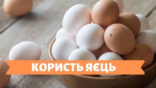 ЯКІСНЕ ЖИТТЯ | 20.01.20 | КОРИСТЬ ЯЄЦЬ