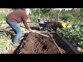 trench composting start to finish