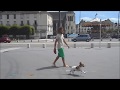 Comment promener son chien sans laisse - en ville