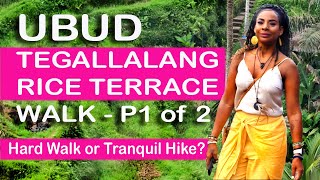 Walking TEGALLALANG RICE TERRANCE, North UBUD, BALI (Part 1 of 2) 4K