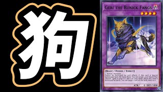 🔴【遊戲王 Master Duel】為了避免玩這個遊戲玩到躁鬱症發作 我成為了碑狗