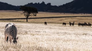 🇳🇦 Namibia: Duwisib Castle  - Sesriem-Canyon