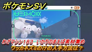 ポケモンＳＶ　わざマシン１８３　いかりのまえば素材集め　ワッカネズミのけの入手方法は？　＃２４８　【DLCゼロの秘宝　碧の仮面・藍の円盤】