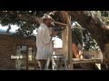 How to build a treehouse