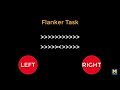 AFNI Tutorial #2: The Flanker Task