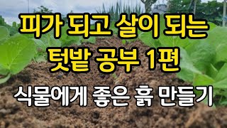 미리 하는 텃밭 공부 1편 - 식물에게 좋은 텃밭 흙 만들기