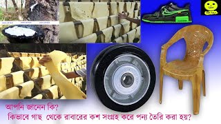 যেভাবে গাছের তরল কষ থেকে রাবার প্রক্রিয়াজাত করন করা হয়।।গাছের কষ থেকে রাবার তৈরির প্রক্রিয়া।