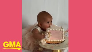 Baby girl loves to smash her birthday cake