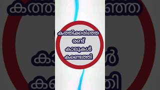 കത്തിക്കരിഞ്ഞ രണ്ട് കാലുകൾ കണ്ടെത്തി #shortsfeed #shortsvideo #shorts