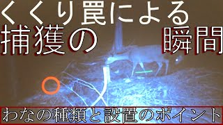 くくり罠によるイノシシ・シカ捕獲の瞬間。くくり罠の種類と扱い方【効果的な狩猟】