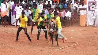 கெளரிப்பட்டி சந்தனக்கருப்பர் துணையுடன் சந்திவீரன் குழுவினரின் சிறப்பான ஆட்டம் | PK Media