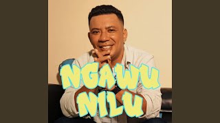 Ngawu Nilu