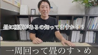 畳がコスパ良し？日本人なら畳でしょ？？