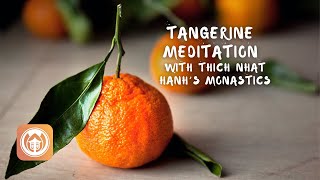Tangerine Meditation with Sister Hien Nghiem and Brother Phap Huu | iPause 3 21 Awareness