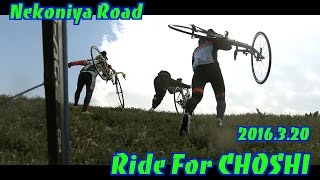 銚子犬吠埼ライド 利根川サイクリングロード経由 GoPro,SONY ActionCamと自転車ロードバイク ロングライド Japan bicycle trip