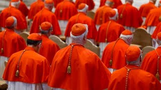 The Cardinals  Vestments and Meanings  : The Catholic Church Vestments