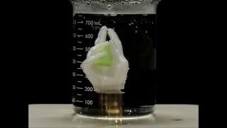 Essemplex: 3D Printable Shape Memory Polymer - Formed Hand