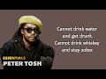 Peter Tosh-Feel no way lyrics