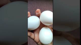 3 മുട്ട കൊണ്ട് 5 മിനിറ്റിനുള്ളിൽ😋👌🥚#shortsfeed