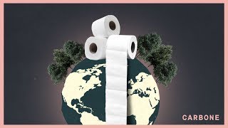 Carbone | L’empreinte écologique du papier de toilette