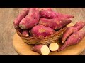 சர்க்கரைவள்ளி கிழங்கு நன்மைகள் sweet potato health benefits in tamil tamil news health tips tamil