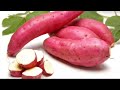 சர்க்கரைவள்ளி கிழங்கு நன்மைகள் sweet potato health benefits in tamil tamil news health tips tamil