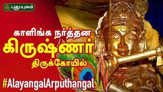 காளிங்க நர்த்தன கிருஷ்ணர் திருக்கோயில் | சென்னை | Alayangal Arputhangal | PuthyugamTV