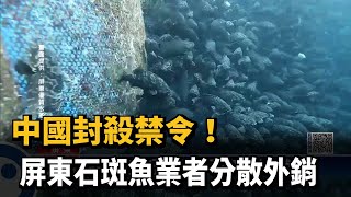 中國封殺禁令！屏東石斑魚業者分散外銷－民視新聞