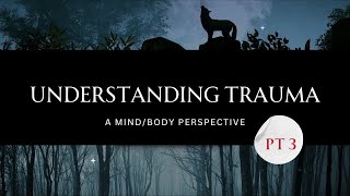 Understanding Trauma Pt, 3