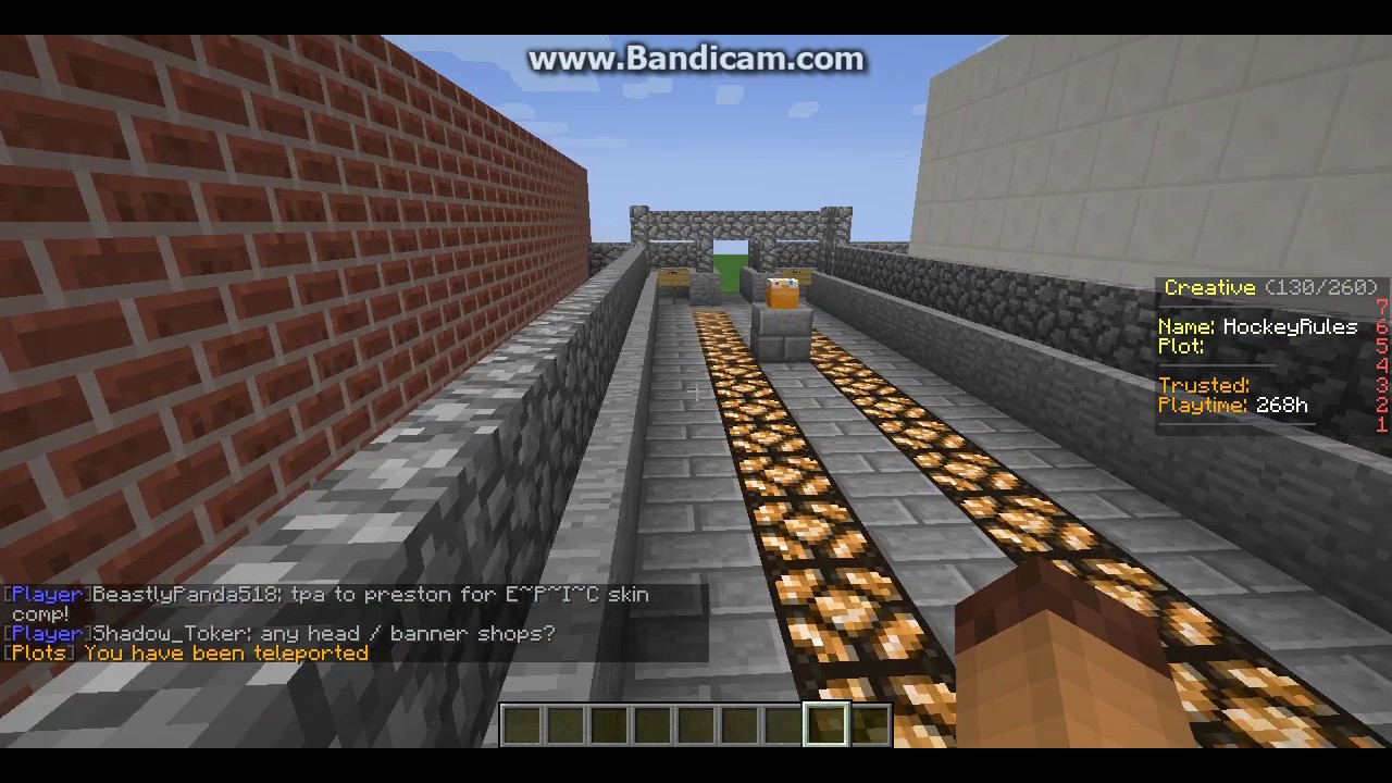 Minecraft Disconnected From A Server Youtube