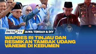 Wapres RI Meresmikan dan Meninjau Panen Udang Vaname di  Kebumen