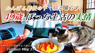 【フカセンvlog317】おんぼろ屋根の下で生きる／古民家生活の実情／二匹の猫とぼっち暮らしの日常日記。バインミー。