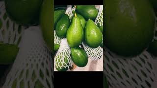 阿公種的酪梨 / Avocado 酪梨牛奶🥑