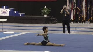 Toma Murakawa - 2018 JO Nationals - Level 8 JE