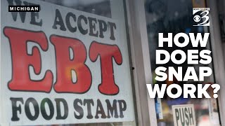 This Program Is A Lifeline Public Health Expert Breaks Down Snap Program