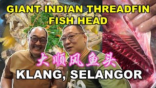 Giant Indian Threadfin Fish Head | KURAU | 大顺风鱼头 | RESTORAN SEAFOOD CHIEM CHOO | KLANG | MALAYSIA