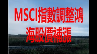 11月25日！MSCI指數調整鴻海股價補漲！