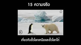 หมีขาวและเพนกวินไม่เคยได้เจอกันตามธรรมชาติ  #เรื่องแปลก #สาระดีๆ  #เรื่องเล่า  #เรื่องน่าเหลือเชื่อ