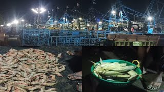 மீன்பிடி துறைமுகம் மீன் ஏலம் தூத்துக்குடி /Fishing Harbor Fish Auction Thoothukudi/#senthur