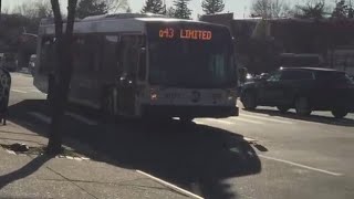 MTA NYCT: 2011 NovaBus LFS #8051 Q43 Limited [ From 4/15/2016 ]