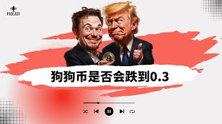 💡震惊🎧狗狗币是否会跌穿0 3，比特币是否跌穿9万美元！山寨币整体出现回落趋势！#狗狗币 #比特币 #btc #特朗普