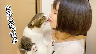 4日ぶりの再会が嬉しくて玄関まで駆けつける甘えん坊猫！